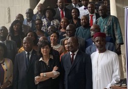 APPUI À LA RÉUNION D'EXPERTS DE L'UNION AFRICAINE À KINSHASA